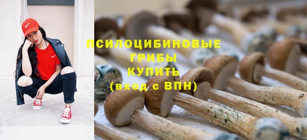 герыч Мегион
